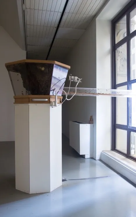 Installation view of a hexagonal beehive that has clear, acrylic side panels with a webcam facing it and a long plastic tube extending to a window.