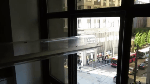 Image of the window and beehive tube showing bees come and go.